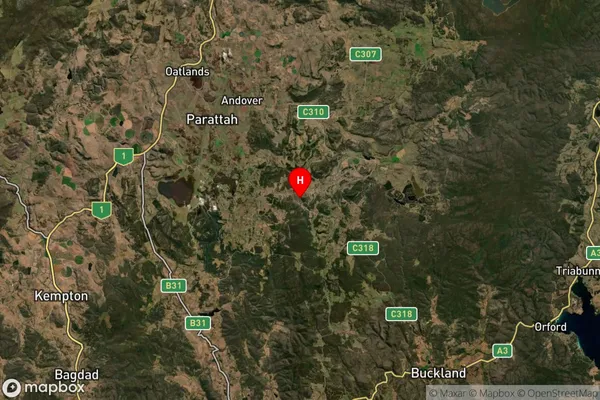 Whitefoord,Tasmania Satellite Map