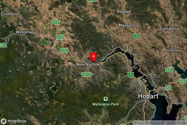 Boyer,Tasmania Satellite Map