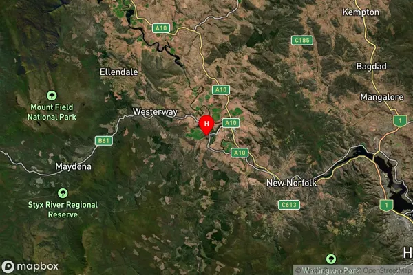 Bushy Park,Tasmania Satellite Map