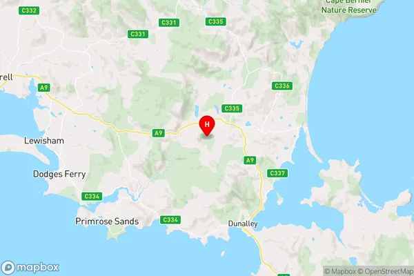 Copping,Tasmania Area Map