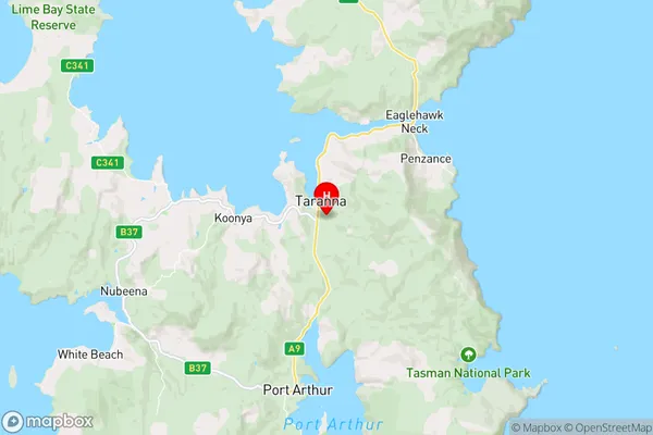 Taranna,Tasmania Area Map