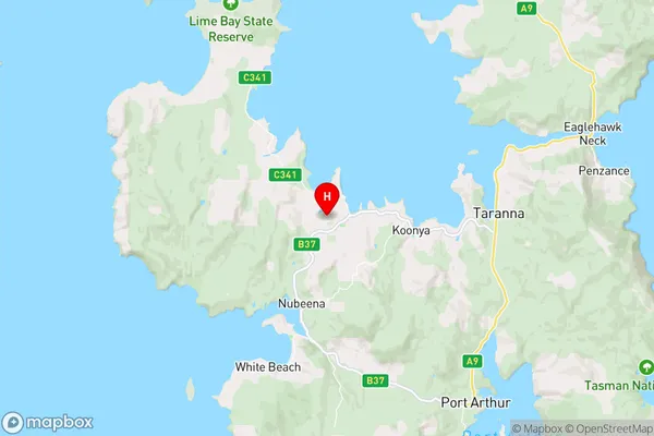 Premaydena,Tasmania Area Map