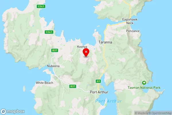 Koonya,Tasmania Area Map