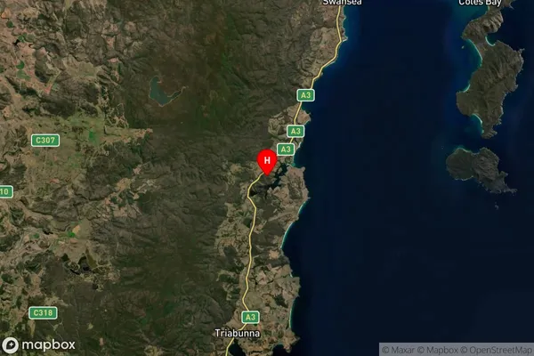 Pontypool,Tasmania Satellite Map