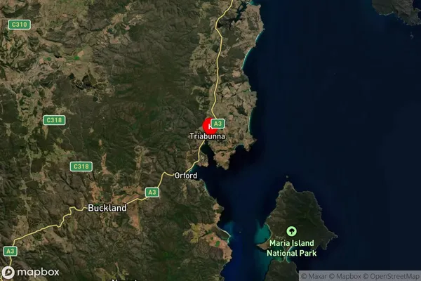 Triabunna,Tasmania Satellite Map