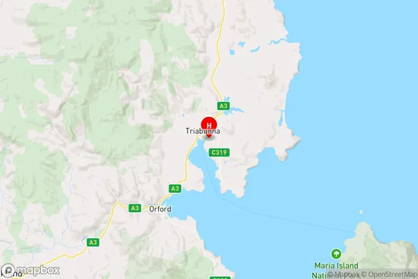 Triabunna,Tasmania Area Map