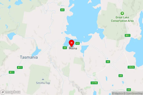 Miena,Tasmania Area Map