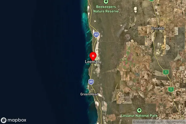 Leeman,Western Australia Satellite Map