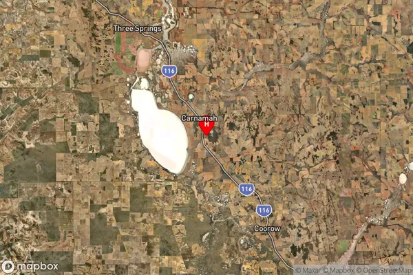 Carnamah,Western Australia Satellite Map