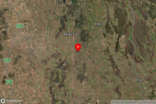 Reids Flat,New South Wales Satellite Map