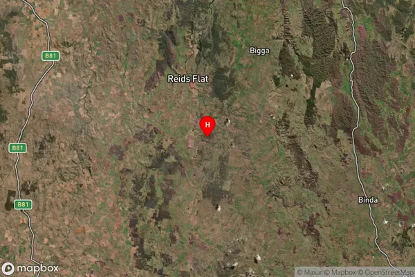 Taylors Flat,New South Wales Satellite Map