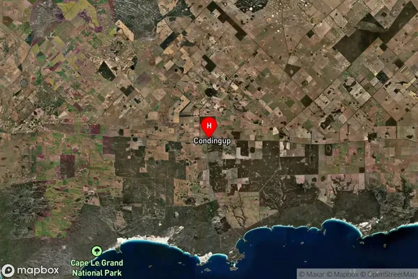 Condingup,Western Australia Satellite Map