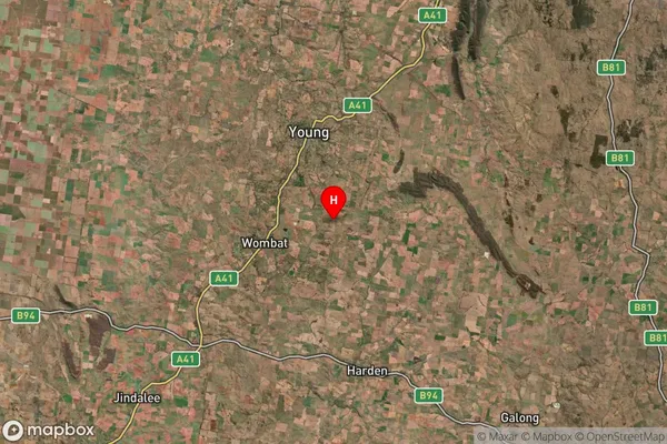 Prunevale,New South Wales Satellite Map