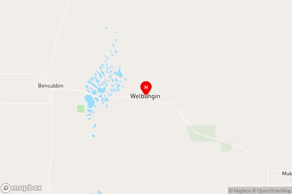 Welbungin,Western Australia Area Map