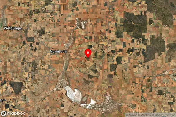 Lake Brown,Western Australia Satellite Map