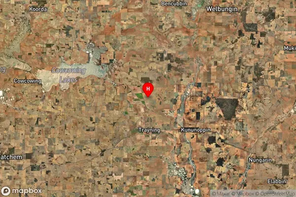 North Trayning,Western Australia Satellite Map