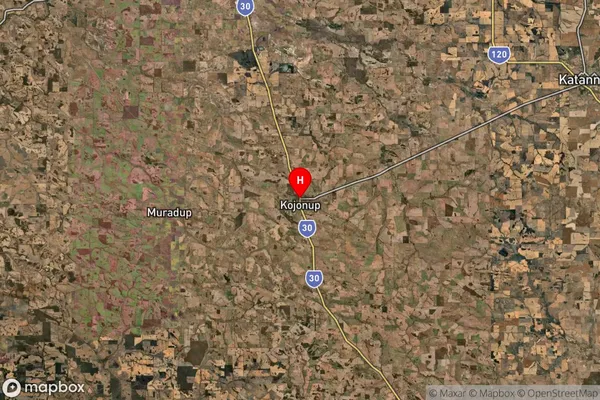 Kojonup,Western Australia Satellite Map