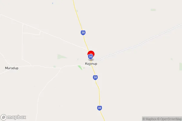 Kojonup,Western Australia Area Map