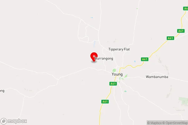 Burrangong,New South Wales Area Map