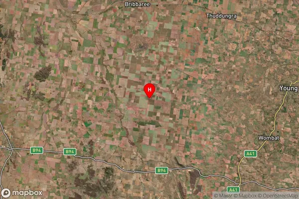 Milvale,New South Wales Satellite Map