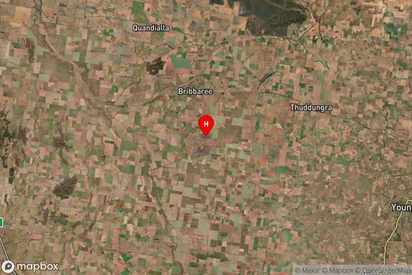 Weedallion,New South Wales Satellite Map