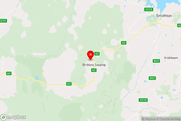 Brittons Swamp,Tasmania Area Map