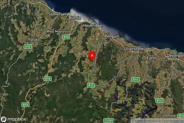 Riana,Tasmania Satellite Map