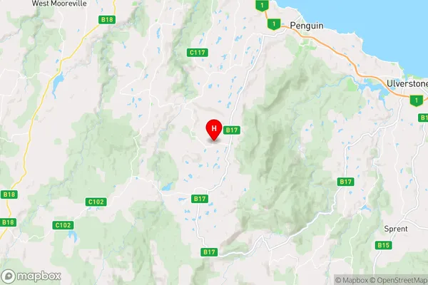 Riana,Tasmania Area Map