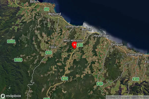 Ridgley,Tasmania Satellite Map