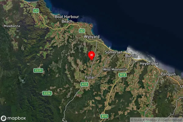 Mount Hicks,Tasmania Satellite Map