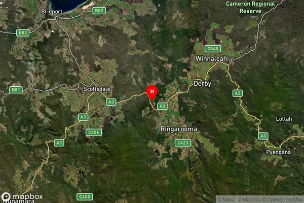 Tulendeena,Tasmania Satellite Map