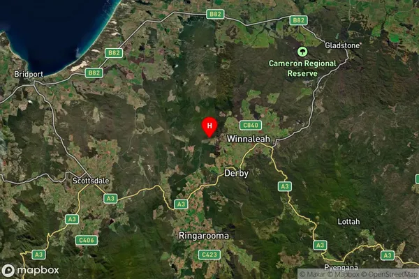 Warrentinna,Tasmania Satellite Map