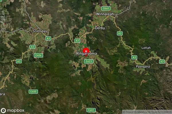 Ringarooma,Tasmania Satellite Map