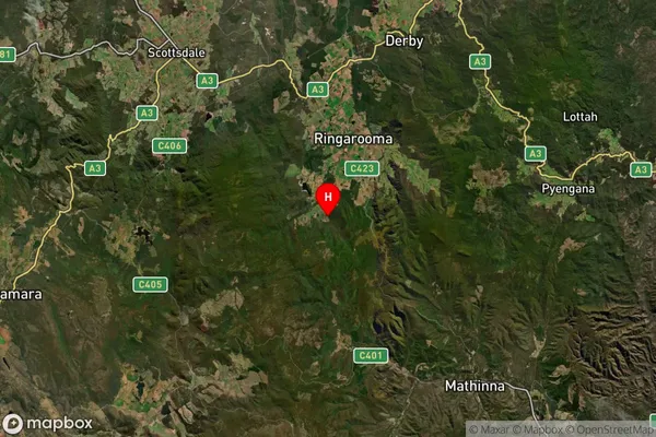 Trenah,Tasmania Satellite Map