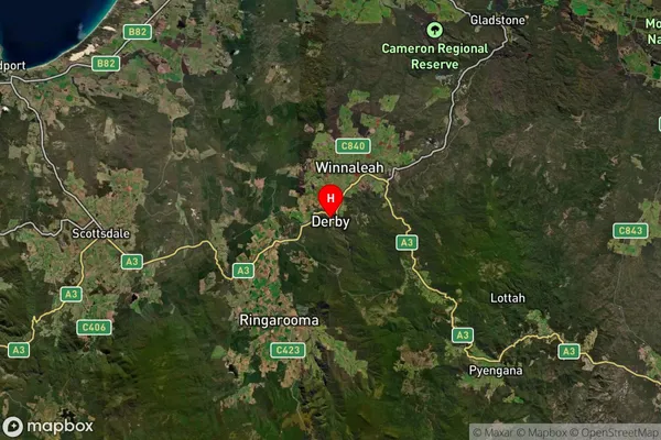 Derby,Tasmania Satellite Map