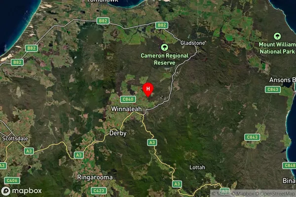 Herrick,Tasmania Satellite Map