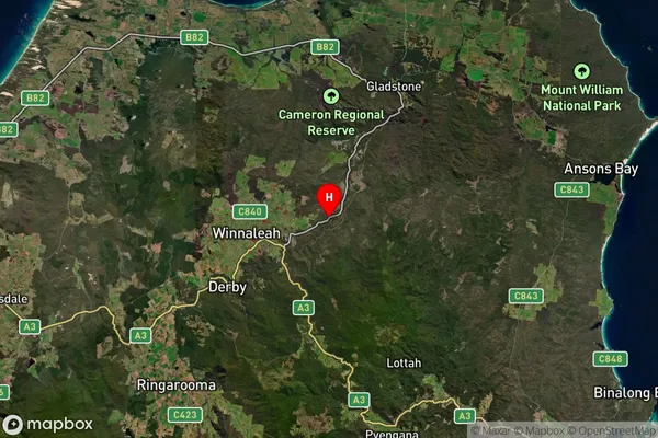 Pioneer,Tasmania Satellite Map