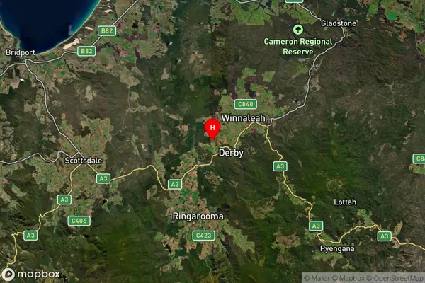 Telita,Tasmania Satellite Map