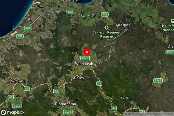 Winnaleah,Tasmania Satellite Map