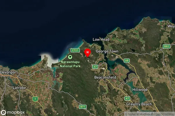 Badger Head,Tasmania Satellite Map