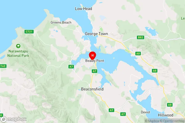 Ilfraville,Tasmania Area Map