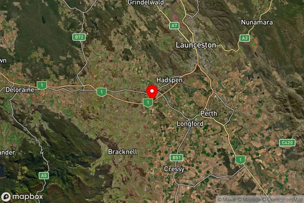 Carrick,Tasmania Satellite Map