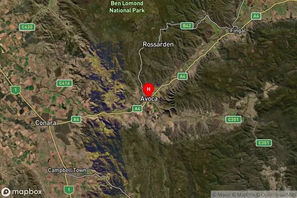 Avoca,Tasmania Satellite Map