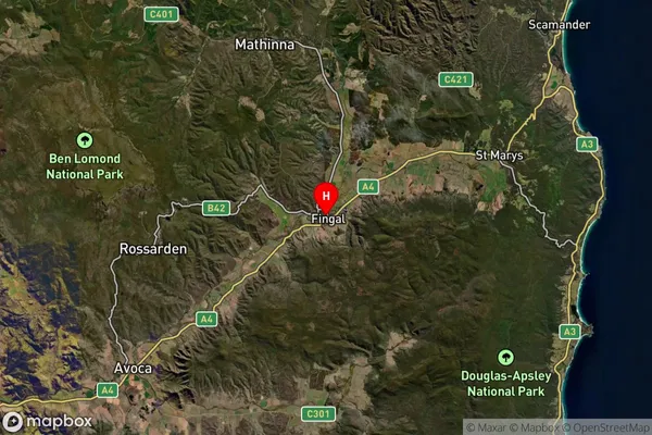 Fingal,Tasmania Satellite Map