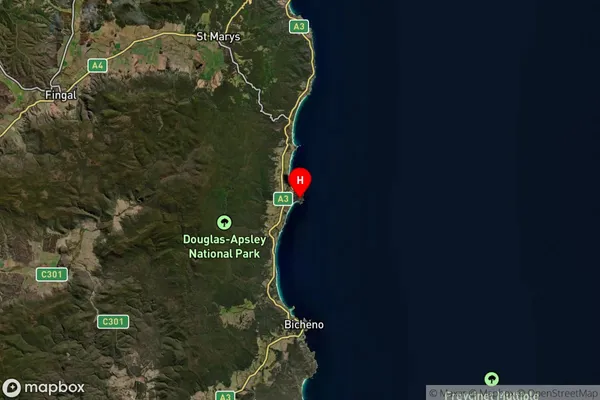 Seymour,Tasmania Satellite Map