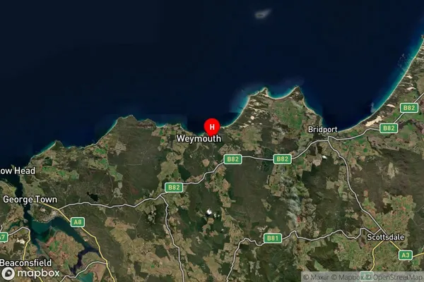 Bellingham,Tasmania Satellite Map