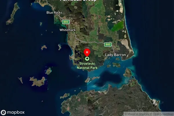 Strzelecki,Tasmania Satellite Map