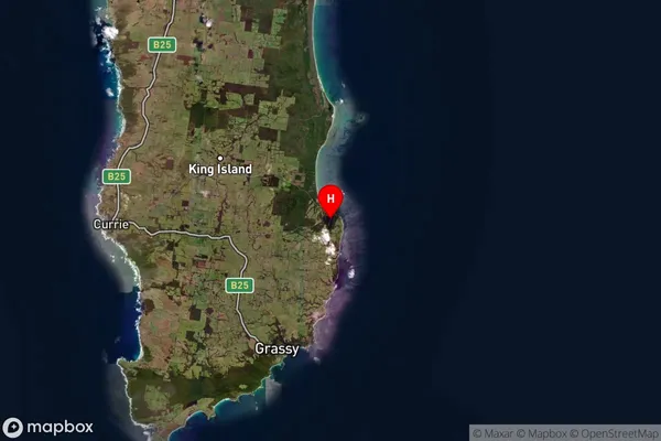 Naracoopa,Tasmania Satellite Map