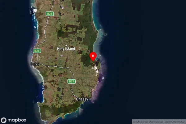 Pegarah,Tasmania Satellite Map