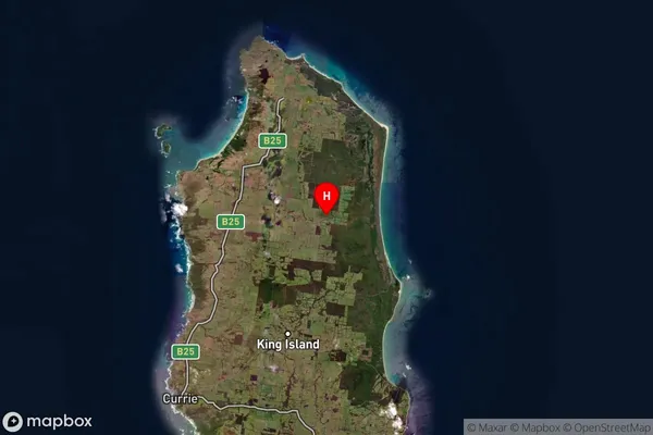 Reekara,Tasmania Satellite Map